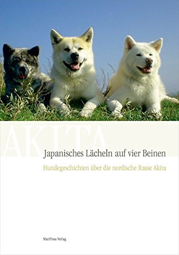 Akita Jap. Lächeln auf vier Beinen